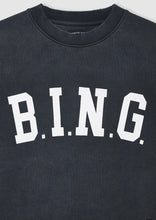 Load image into Gallery viewer, Anine Bing Tyler Sweatshirt Bing Washed Black
