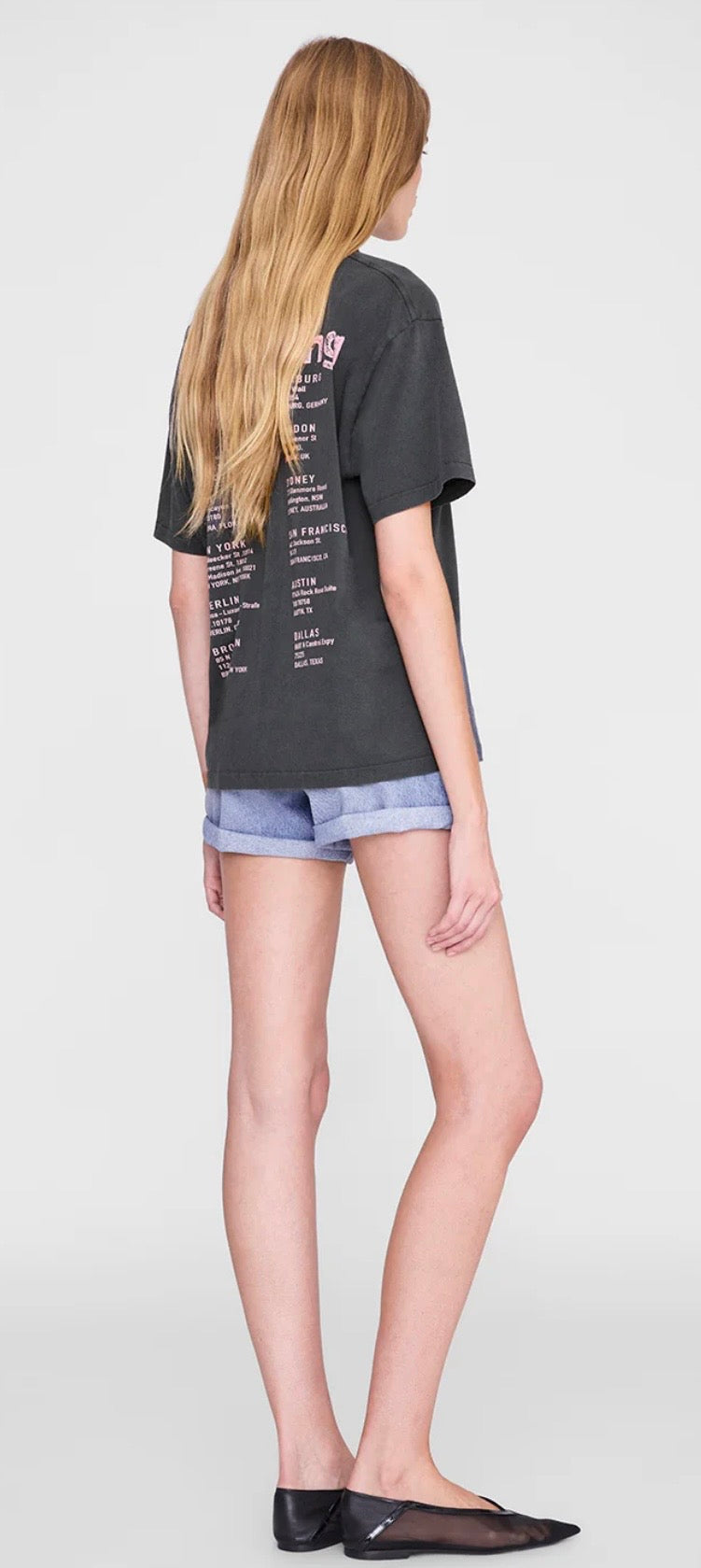 Anine Bing Cade Tee Smiley in Washed Grey