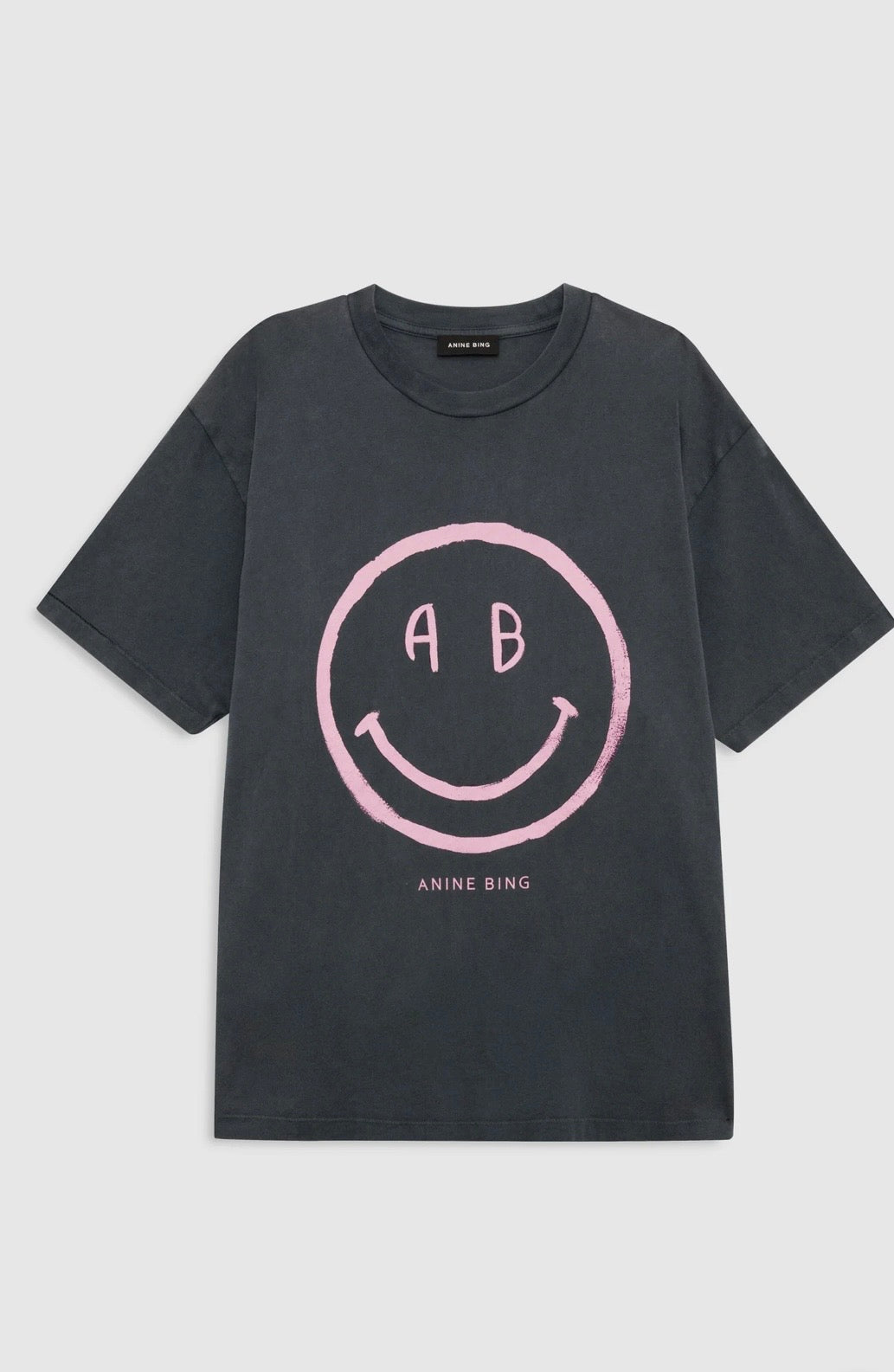 Anine Bing Cade Tee Smiley in Washed Grey