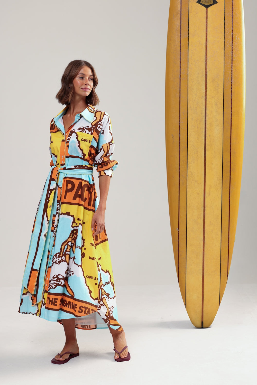 Binny Three Blue Ducks  Dress