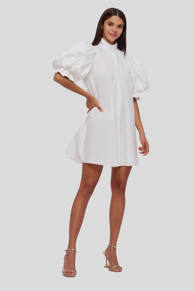 Leo Lin Eli Mini Dress Snow