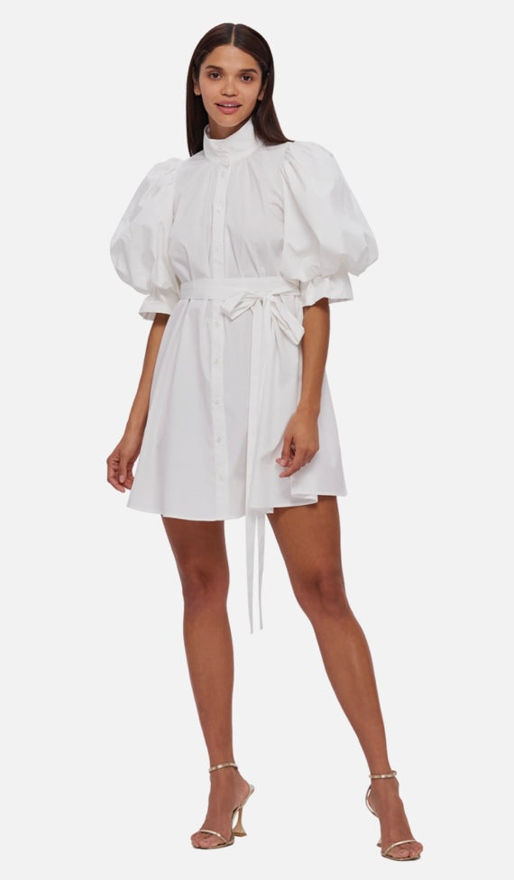 Leo Lin Eli Mini Dress Snow