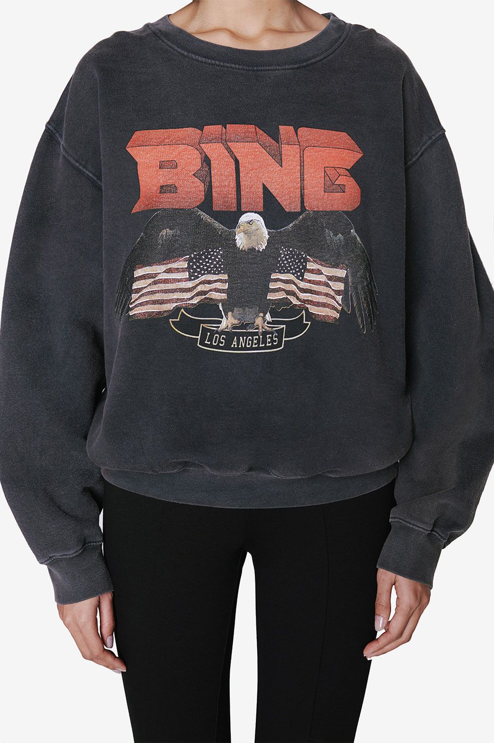 Anine bing clearance vintage sweatshirt black